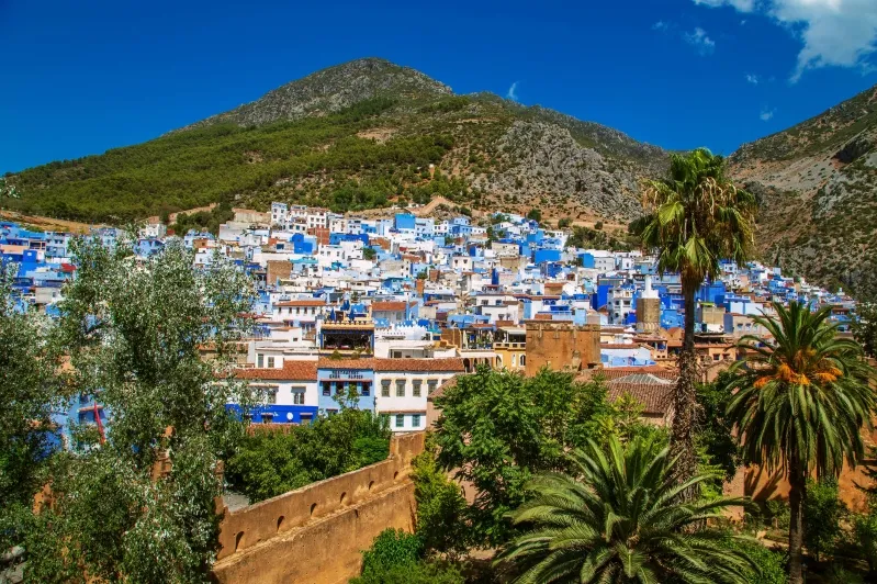 A panoramic view of Chefchaouen, Morocco, showcasing its iconic blue buildings and mountainous backdrop.