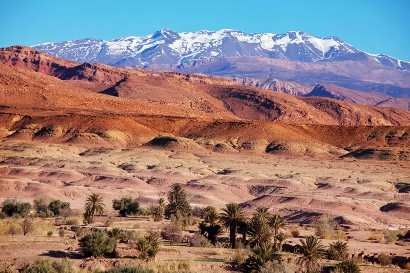 A desert landscape near Ouarzazate, featuring mountains and scattered trees under a clear blue sky.