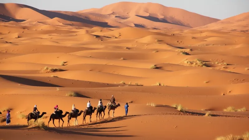  People riding camels across the sandy dunes of Erg Chebbi in the desert under a clear blue sky.
