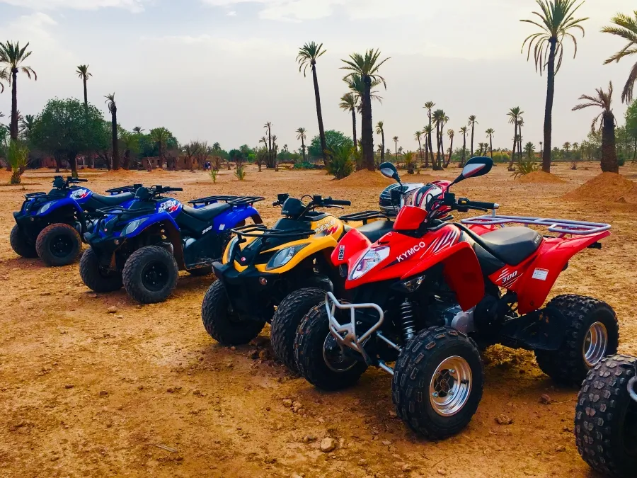 Quad Palmeraie Marrakech : Le Guide Complet pour une Aventure en 2026