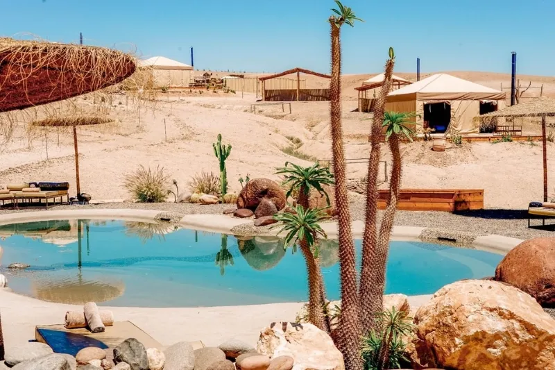 Une piscine dans le désert, entourée d'un cactus et d'une tente, évoquant l'artisanat maroc.