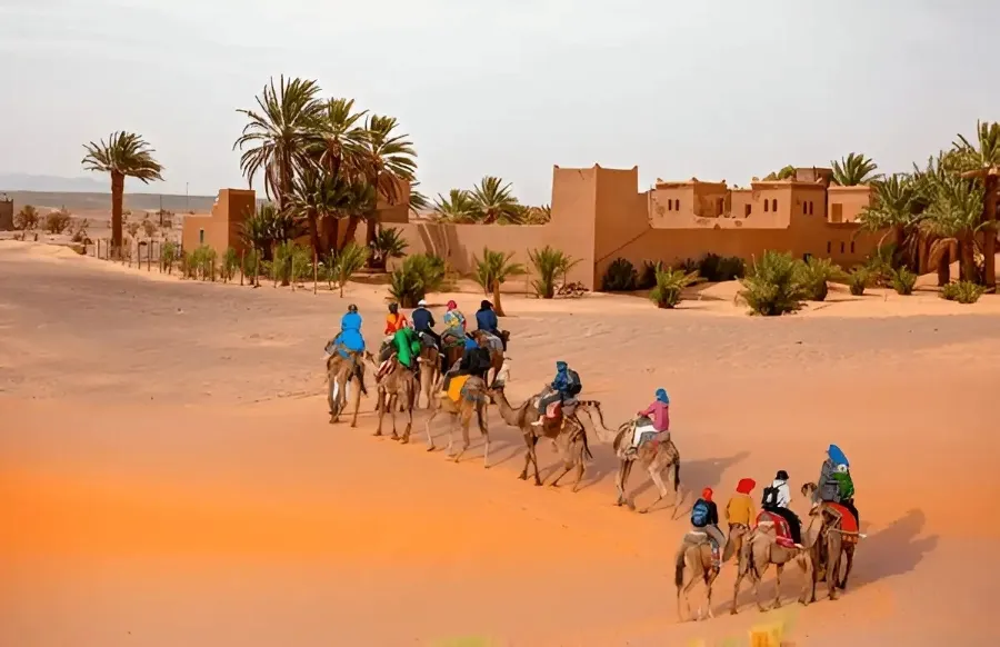 Un groupe de personnes chevauchant des chameaux à travers le désert marocain, promouvant une agence de voyage au Maroc.